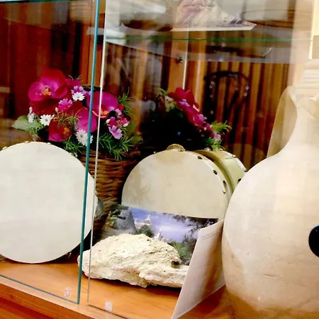 Pensionat L' Aranceto 4*